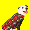 Load image into Gallery viewer, Scotty Plaid Dog Coat
