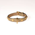 Load image into Gallery viewer, Leather Dog Collar in Mud - Stud Screw, Made in Italy
