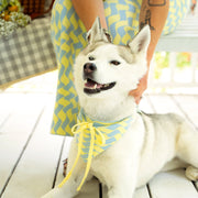 Seaside Swirl Cotton Knitted Dog Bandana
