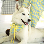 Seaside Swirl Cotton Knitted Dog Bandana