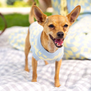 Seaside Swirl Cotton Knitted Dog Vest