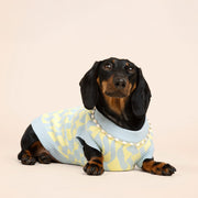 Seaside Swirl Cotton Knitted Dog Vest