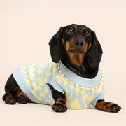 Seaside Swirl Cotton Knitted Dog Vest