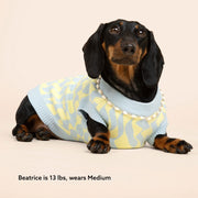 Seaside Swirl Cotton Knitted Dog Vest