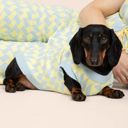 Seaside Swirl Cotton Knitted Dog Vest