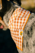 Load image into Gallery viewer, Seasoned Plaid Everyday Bandana
