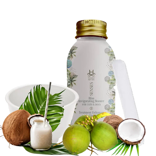 Senses Bliss Fortifying Conditioner Booster and Mixing Bowl by Hydra