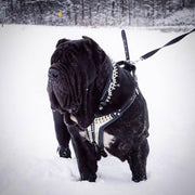 The ''Platinum'' harness 