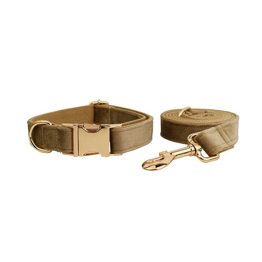 Shallow Khaki Velvet Set