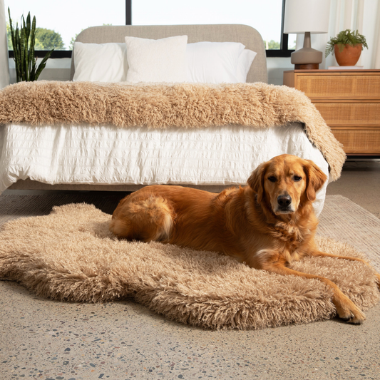 PupRug™ Luxe Faux Fur Orthopedic Dog Bed -  Plush Sheep Tan - Southlake Paws