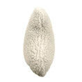 Load image into Gallery viewer, Sherpa Bone Pillow - Plush Dog Toy
