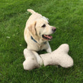 Load image into Gallery viewer, Sherpa Bone Pillow - Plush Dog Toy
