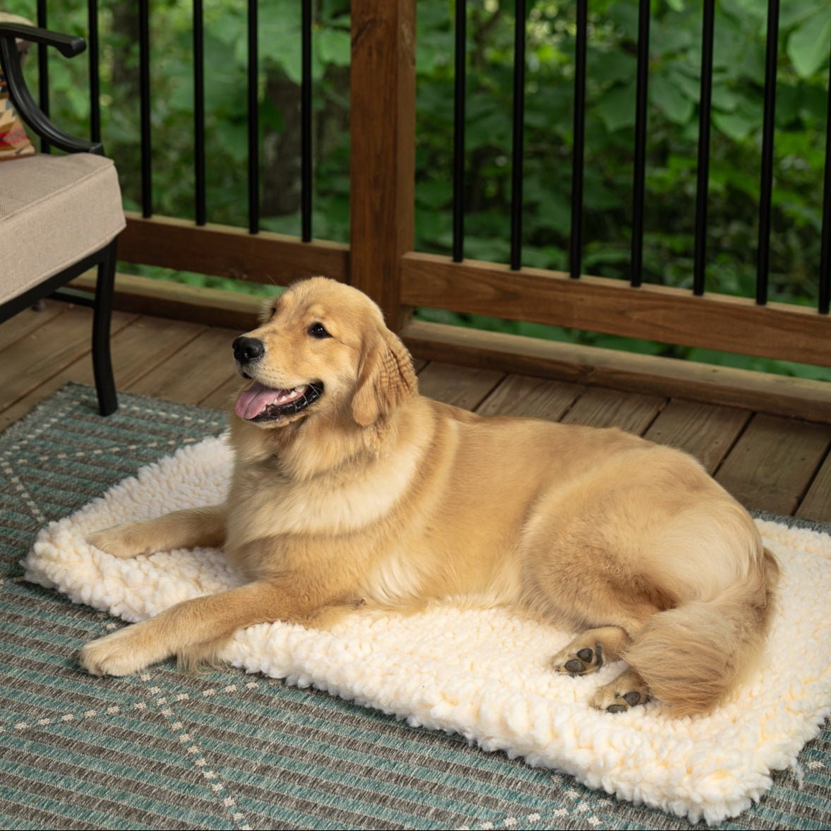 Sherpa Comfort Cushion - Dog Bed Cushion - Medium