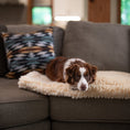 Load image into Gallery viewer, Sherpa Comfort Cushion - Dog Bed Cushion
