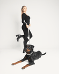 Load image into Gallery viewer, Shine Multiway Metallic Leather Leash & Poop Bag Pouch
