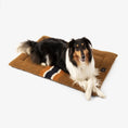 Load image into Gallery viewer, Shinola Brand Stripe Comfort Cushion Berber Dog Bed Rust
