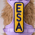 Load image into Gallery viewer, ESA 2x6 Patch
