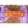 Load image into Gallery viewer, Southlake Paws Please Pet Me Patch on a purple pet harness, featuring bright yellow and pink text that reads "PLEASE PET ME I

