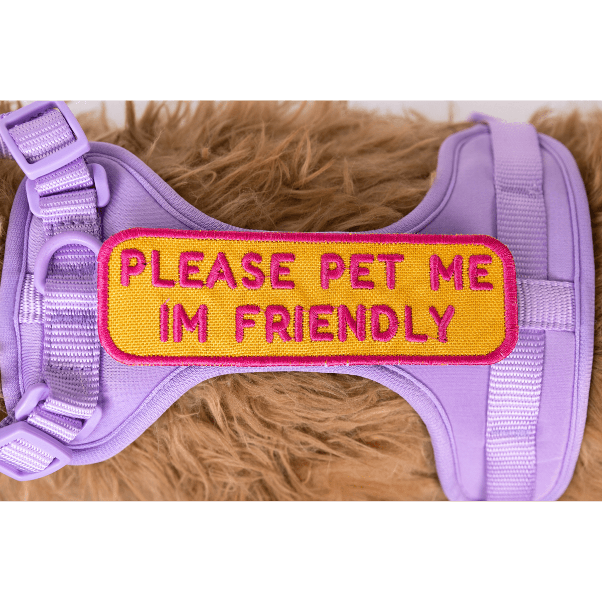 Southlake Paws Please Pet Me Patch on a purple pet harness, featuring bright yellow and pink text that reads "PLEASE PET ME I