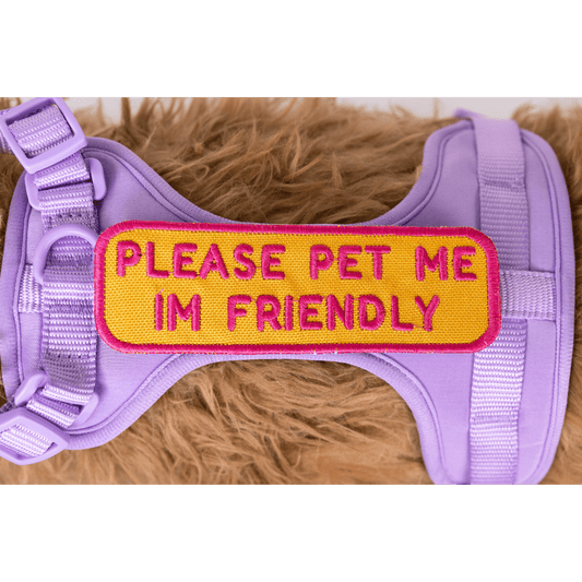 Southlake Paws Please Pet Me Patch on a purple pet harness, featuring bright yellow and pink text that reads "PLEASE PET ME I