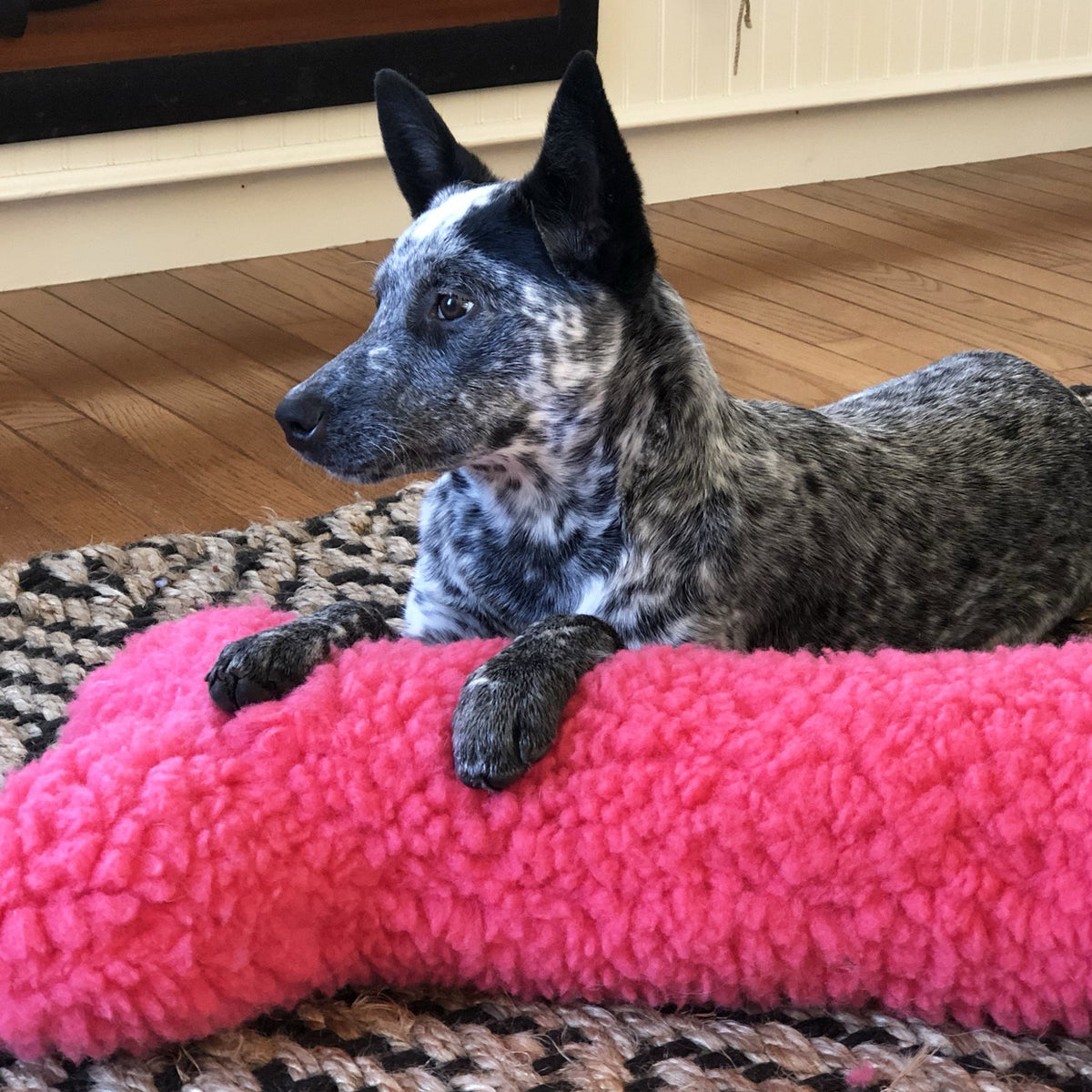 Plush Dog Toy Premium HuggleCause™, Living Beyond Breast Cancer, HuggleFleece® Pink Bones