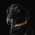 Load image into Gallery viewer, The Leopard Collar
