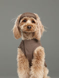 Load image into Gallery viewer, TENNIS HAT - MOCHA
