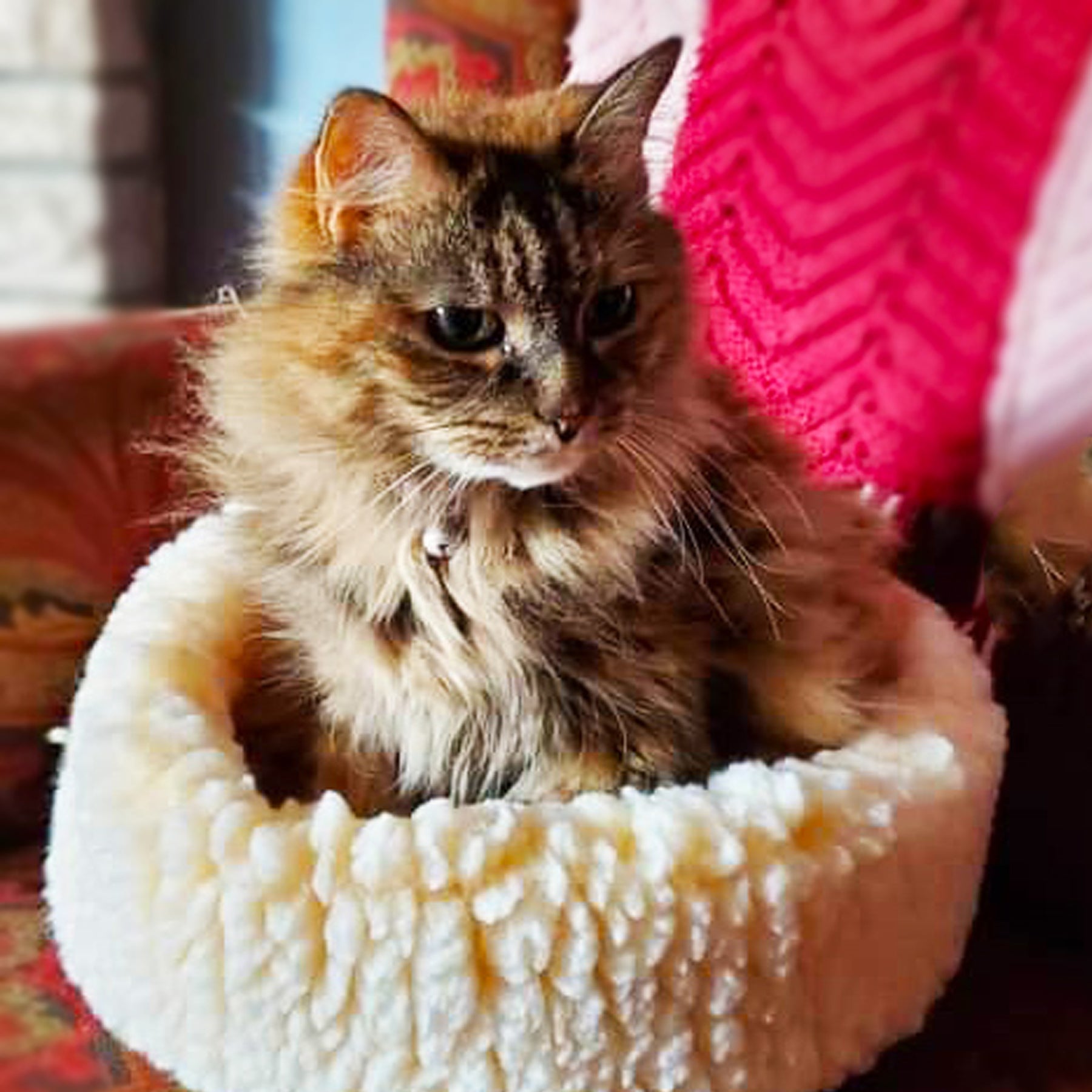 HuggleFleece® HuggleSnuggler™ Cat & Dog Beds - image 4