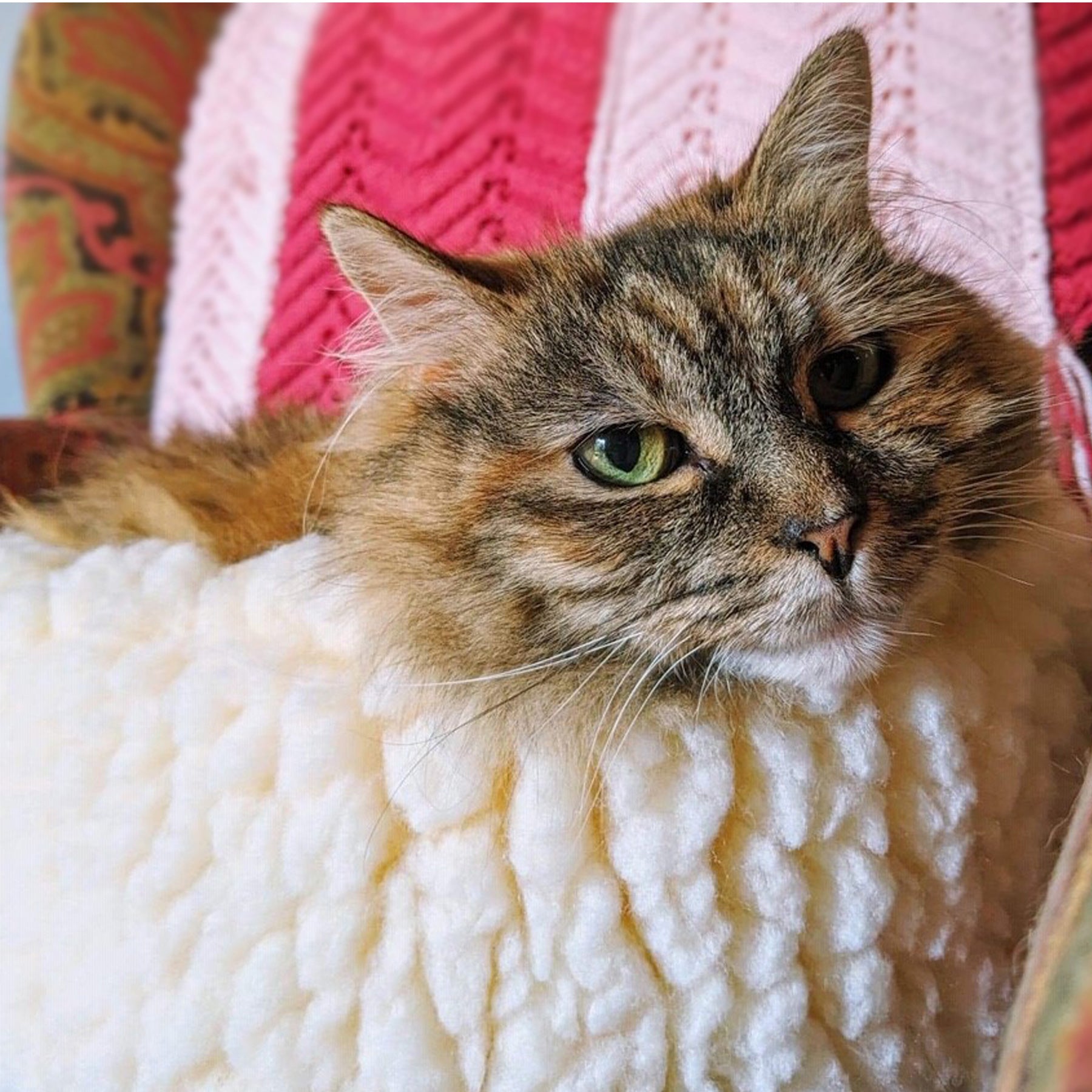 HuggleFleece® HuggleSnuggler™ Cat & Dog Beds - image 6