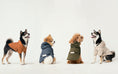 Load image into Gallery viewer, BOWERY RAINCOAT - GREEN
