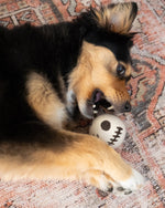SKELETON BEASTBALL