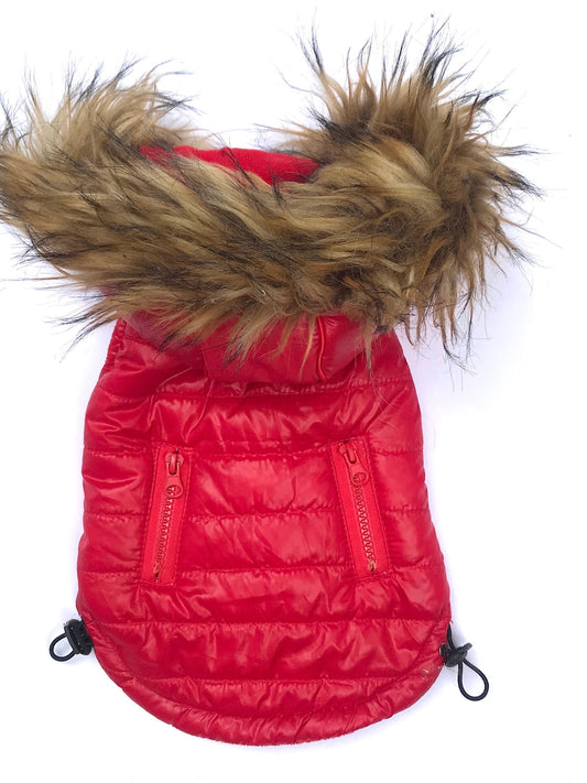 Ski Bunny Puffer with detachable hood, Shiny Red 