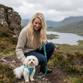 Load image into Gallery viewer, EcoBark Step In Dog Harness - XXXS to Small Breeds- Reflective Soft Mesh Harness for Teacup, Small Dogs and Puppies / Sky Blue
