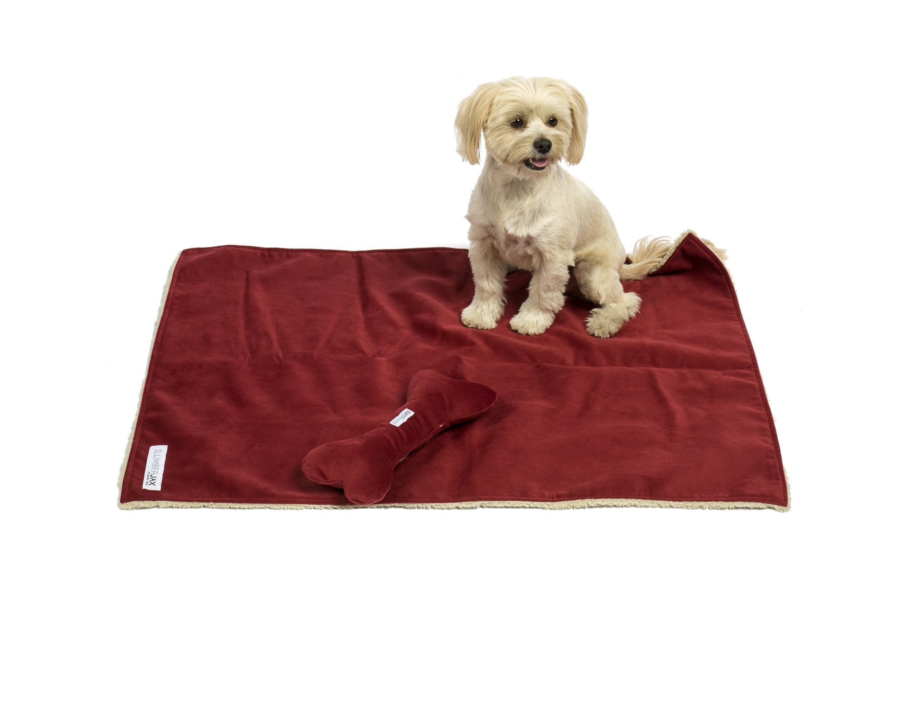 Southlake Paws Blanket and Bone Toy Set in Spa Tomato, featuring a soft red blanket and a plush bone toy with a small dog sit