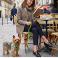 Load image into Gallery viewer, EcoBark Lime Green Step In Dog Harness - Reflective Soft Mesh Harness for Teacup, Small Dogs and Puppies
