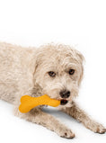 Load image into Gallery viewer, MB WOOLBONE - Southlake Paws
