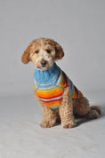 Load image into Gallery viewer, Turquoise Serape Dog Sweater

