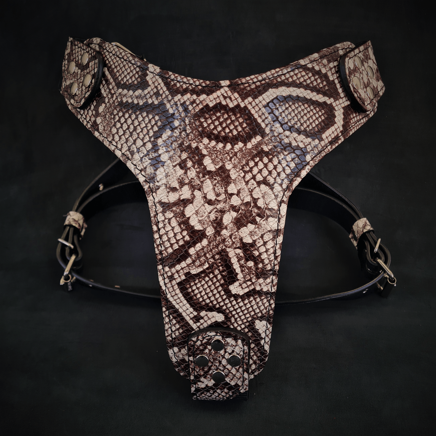 The ''Rock Python'' Dogs and pets harness