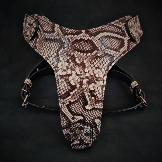 The ''Rock Python'' Dogs and pets harness
