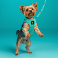 Load image into Gallery viewer, EcoBark Mint Turquoise Dog Leash - Comfort Grip Padded Leash - 4ft, 5ft, and 6ft Dog Leash for Small and Medium Dogs
