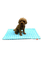 Rosebud Minkie Binkie, Aqua