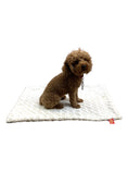 Load image into Gallery viewer, Small Blanket, Rosebud Sand
