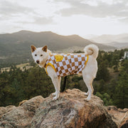 Dog Cotton Smiley Tee