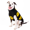 Load image into Gallery viewer, Smiley Dog Sweater
