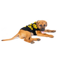 Load image into Gallery viewer, Smiley Dog Sweater
