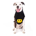 Load image into Gallery viewer, Smiley Dog Sweater

