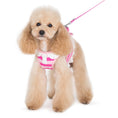 Load image into Gallery viewer, SnapGO Polo Girl Harness
