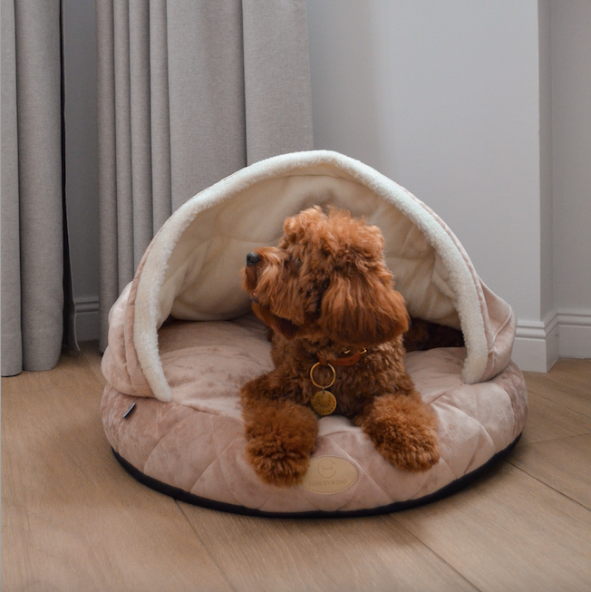 Cover Dog Bed - Southlake Paws