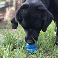 Load image into Gallery viewer, Double Trouble Dog Toy - Dual Chamber Treat Dispenser for Large Dogs | USA Made
