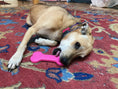 Load image into Gallery viewer, Bone eChew Ultra Durable Nylon Dog Chew Toy for Aggressive Chewers | USA Made
